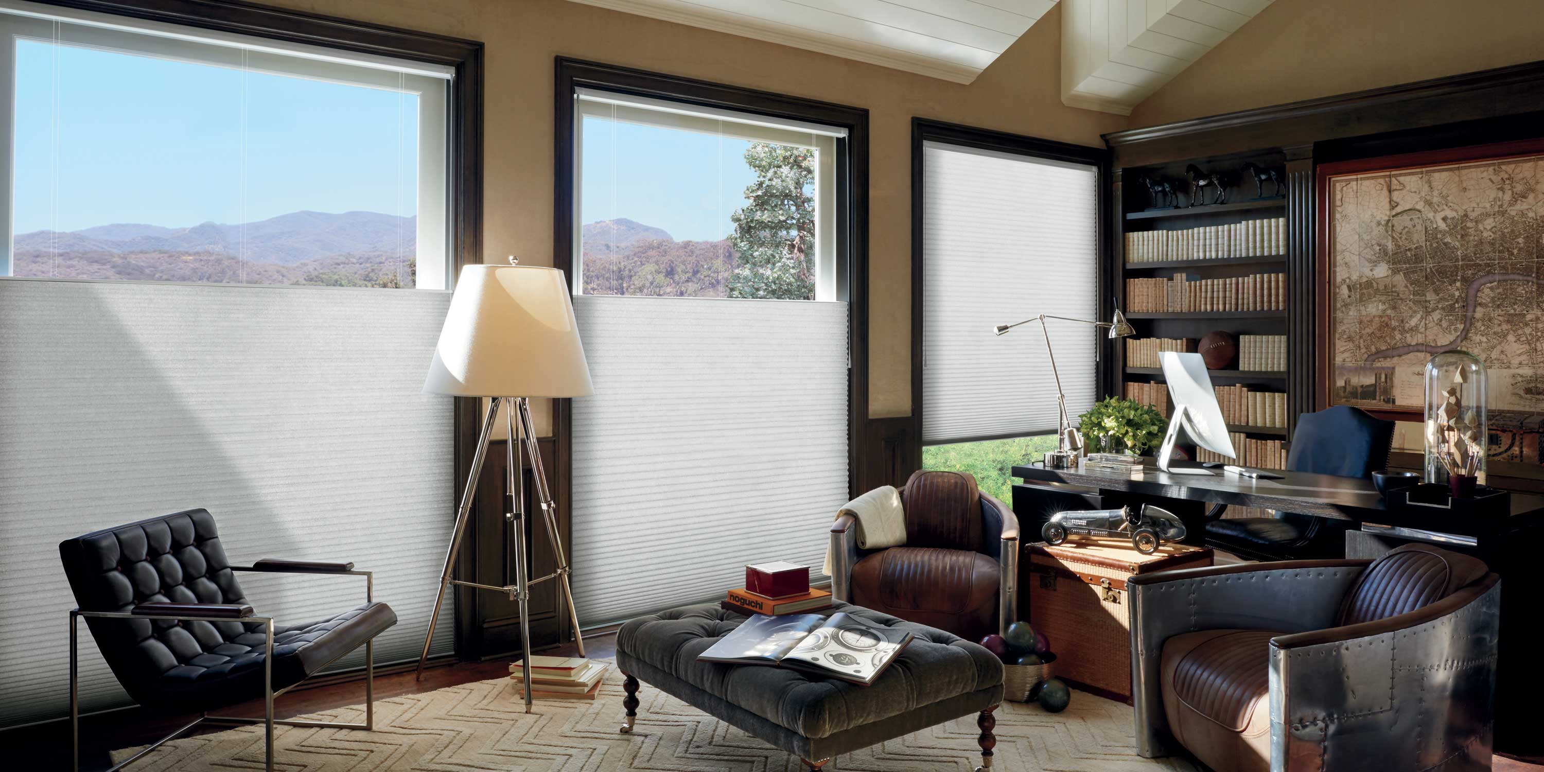 home office, shades on windows, hunter douglas, furniture