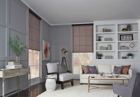 A home office with Lutron custom window treatments on the window. The office is decorated in a modern style and has a telescope in a corner.