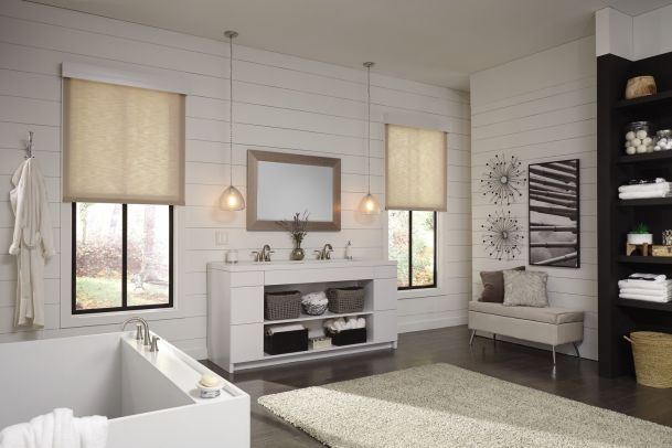 Bathroom with lutron shades