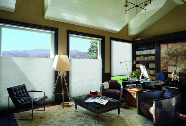 home office with hunterdouglas shading