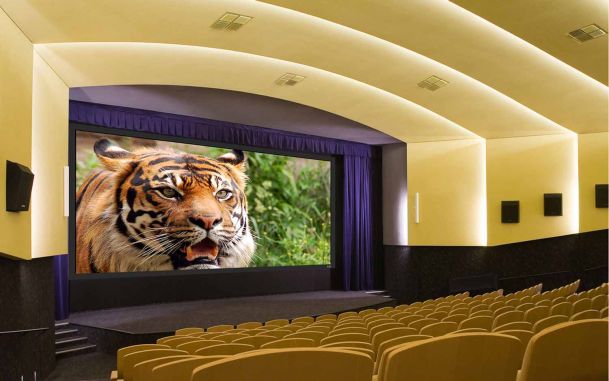 Large Auditorium with tiger on screen